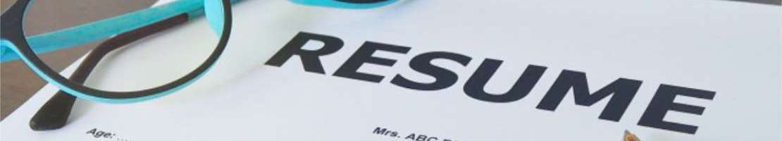 how much do resume services cost